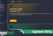 Ligobet Giris 29 110x75
