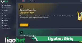 Ligobet Giris 29